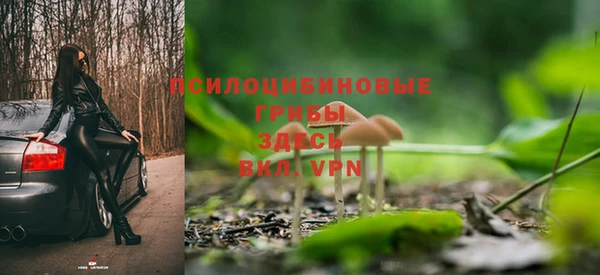 стафф Алексеевка