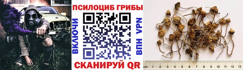 Галлюциногенные грибы прущие грибы  Палласовка 